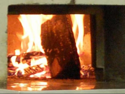 Foto:  Treibhaus